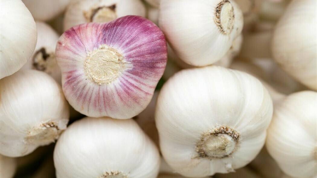 ajos|probelte belprón|personaldetalle